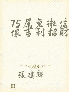 75属兔微信头像吉利招财封面