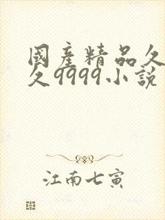 国产精品久久久久9999小说