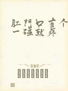 肛门口有个疙瘩一碰就疼