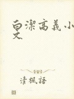 白洁高义小说全文