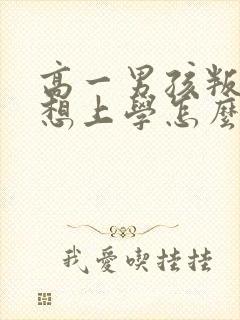 高一男孩叛逆不想上学怎么办封面