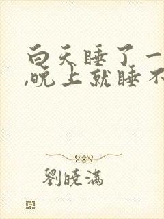 白天睡了一会儿,晚上就睡不着了封面