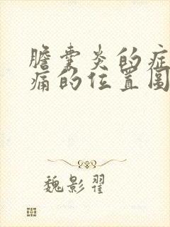 胆囊炎的症状疼痛的位置图