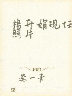 杨升娟现任丈夫照片