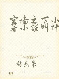 宫墙之下小说原著小说叫什么名字