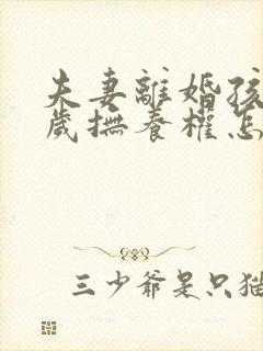 夫妻离婚孩子一岁抚养权怎么判定封面