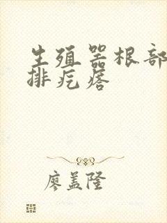 生殖器根部长一排疙瘩