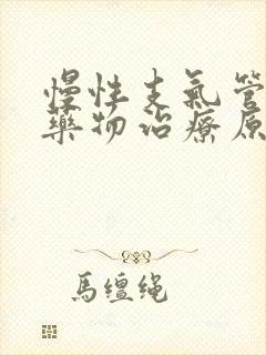 慢性支气管炎的药物治疗原则封面