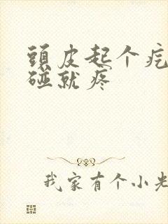 头皮起个疙瘩一碰就疼