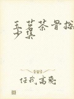 玉茗茶骨总共多少集封面