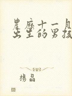 农历十一月十三出生的男孩命运