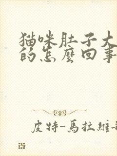 猫咪肚子大硬硬的怎么回事