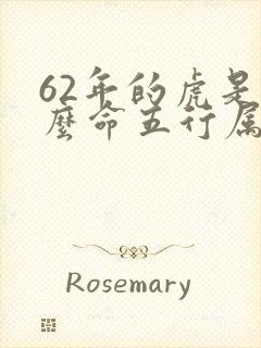 62年的虎是什么命五行属性封面
