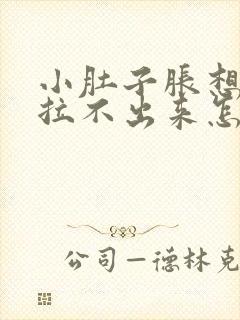 小肚子胀想拉屎拉不出来怎么回事