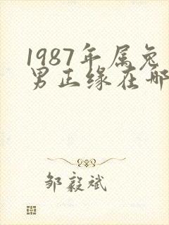 1987年属兔男正缘在哪年