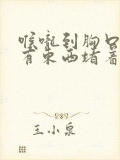 喉咙到胸口感觉有东西堵着挂什么科封面