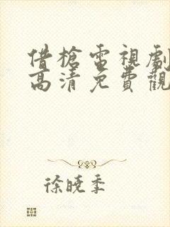 借枪电视剧全集高清免费观看封面