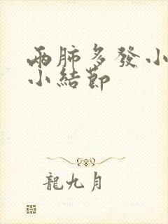 两肺多发小及微小结节