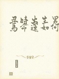 丑时出生男孩属马命运如何