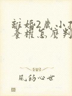 离婚2岁小孩抚养权怎么判定标准