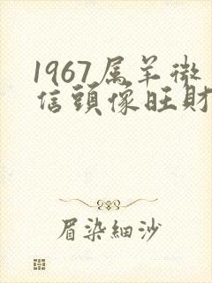 1967属羊微信头像旺财 好运