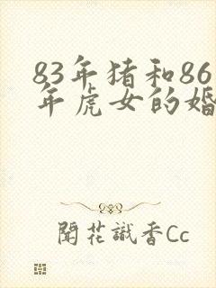 83年猪和86年虎女的婚姻