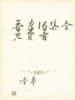 吾岸16集全集免费看