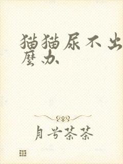 猫猫尿不出来怎么办封面