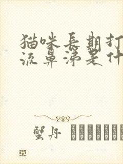 猫咪长期打喷嚏流鼻涕是什么原因封面