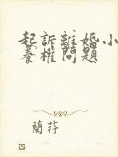 起诉离婚小孩抚养权问题