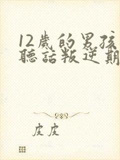 12岁的男孩不听话叛逆期怎么管理