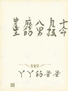 农历八月十六出生的男孩命运封面