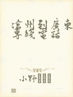 沧州到广东物流专线电话