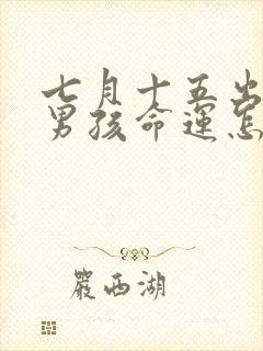 七月十五出生的男孩命运怎样