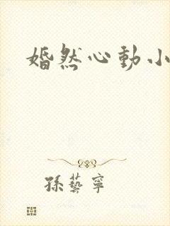 婚然心动小说