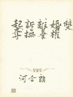 起诉离婚双方争夺抚养权