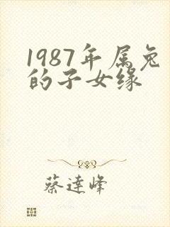 1987年属兔的子女缘封面