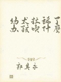 幼犬拉稀了怎么办该吃什么药封面