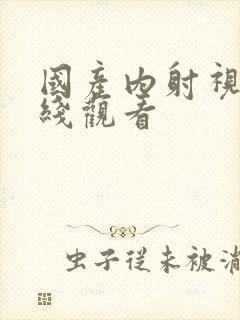 国产内射视频在线观看