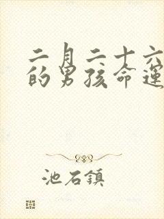 二月二十六出生的男孩命运怎么样封面