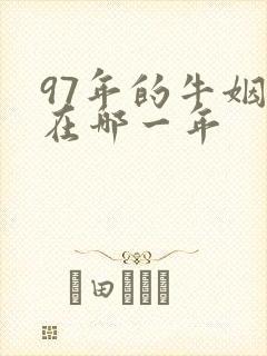 97年的牛姻缘在哪一年