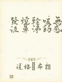 发烧干咳无痰不流鼻涕的感冒