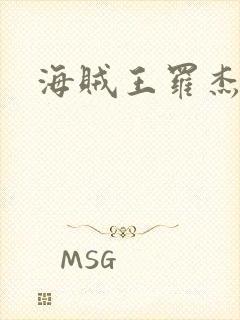 海贼王罗杰船封面