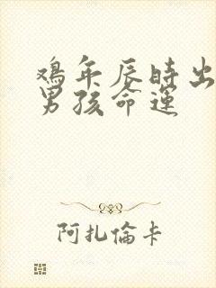 鸡年辰时出生的男孩命运