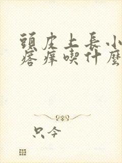 头皮上长小红疙瘩痒吃什么药