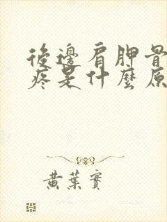 后边肩胛骨后背疼是什么原因引起的