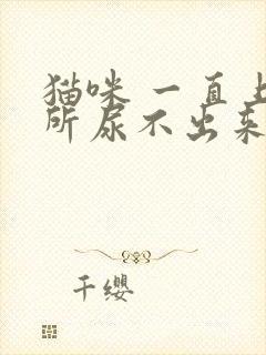 猫咪 一直上厕所尿不出来