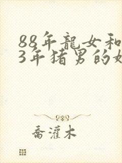 88年龙女和83年猪男的婚姻是什么样的