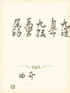 属马九月九出生的男孩命运封面