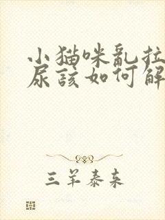 小猫咪乱拉屎拉尿该如何解决